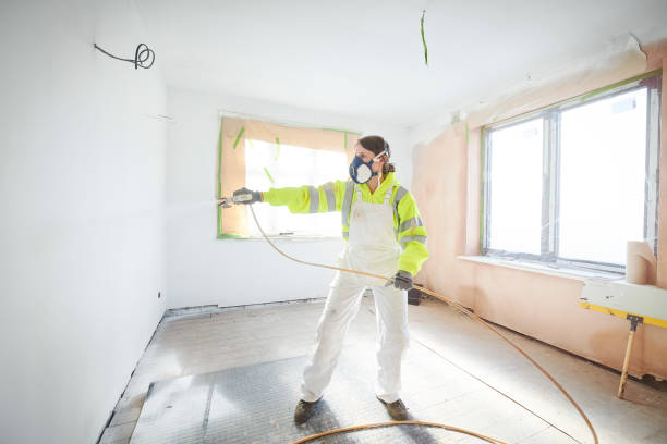 Reliable Rancho Santa Fe, CA Mold Removal Solutions